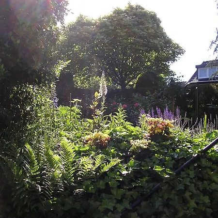 Walnut فندق مبيت وإفطار 4*