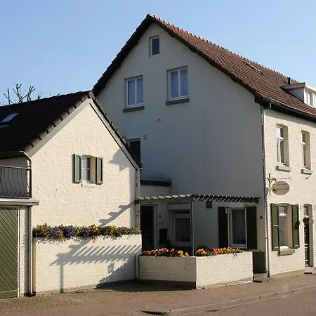 Walnut Noorbeek